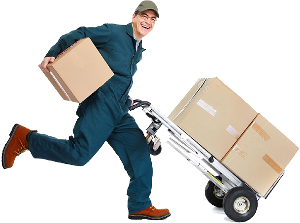 Fast Delivery